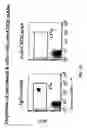 Fig. 24 - Combination therapy for B cell disorders