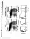 Fig. 27 - Combination therapy for B cell disorders