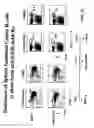 Fig. 30 - Combination therapy for B cell disorders