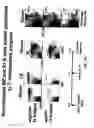 Fig. 31 - Combination therapy for B cell disorders
