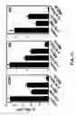 Fig. 34 - Combination therapy for B cell disorders