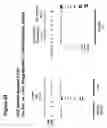 Fig. 27 - Purification and preferential synthesis of binding molecules