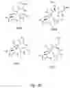 Fig. 06 - Compounds and methods for modulating adhesion molecule function