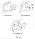 Fig. 07 - Compounds and methods for modulating adhesion molecule function