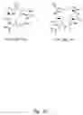 Fig. 09 - Compounds and methods for modulating adhesion molecule function