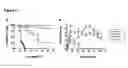 Fig. 09 - Method of treatment and agents useful for same