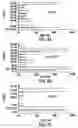 Fig. 05 - Immunological herpes simplex virus antigens and methods for use thereof