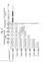 Fig. 14 - Modified chimeric polypeptides with improved pharmacokinetic properties