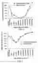 Fig. 03 - Remedy for hypermyotonia