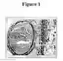 Fig. 02 - Biomatrix structural containment and fixation systems and methods of use thereof