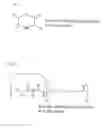 Fig. 02 - Biodegradable bio-absorbable material for clinical practice and method for producing the same