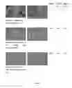 Fig. 02 - Process for production of a frozen food product