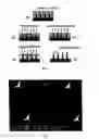 Fig. 02 - Orientation coating method of the top of micro tip