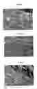 Fig. 02 - Method for treating lignocellulosic materials, in particular wood and material obtained by this method