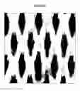 Fig. 06 - Apertured film with raised profile elements method for making the same, and the products thereof