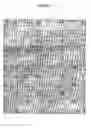 Fig. 07 - Apertured film with raised profile elements method for making the same, and the products thereof