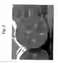Fig. 03 - Supports for solid phase extraction