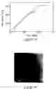 Fig. 03 - Metallic coatings on silicon substrates, and methods of forming metallic coatings on silicon substrates