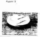Fig. 09 - High temperature abradable coatings