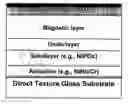 Fig. 01 - Highly oriented longitudinal magnetic media on direct textured glass substrates