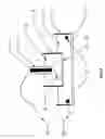 Fig. 11 - Electrical field stimulation of eukaryotic cells