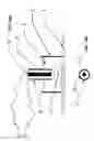 Fig. 13 - Electrical field stimulation of eukaryotic cells