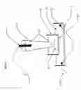 Fig. 14 - Electrical field stimulation of eukaryotic cells