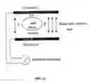 Fig. 17 - Electrical field stimulation of eukaryotic cells