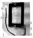 Fig. 48 - Electrical field stimulation of eukaryotic cells