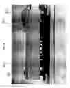 Fig. 50 - Electrical field stimulation of eukaryotic cells