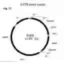 Fig. 16 - Methods for multiple parameters screening and evolution of cells to produce small molecules with multiple functionalities