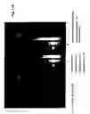 Fig. 20 - Methods for multiple parameters screening and evolution of cells to produce small molecules with multiple functionalities