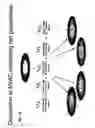 Fig. 23 - Methods for multiple parameters screening and evolution of cells to produce small molecules with multiple functionalities