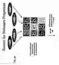 Fig. 24 - Methods for multiple parameters screening and evolution of cells to produce small molecules with multiple functionalities