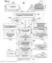 Fig. 04 - Method of discovery and development of broad-spectrum antiviral drugs