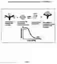 Fig. 02 - Method for the rapid diagnosis of infectious disease by detection and quantitation of microorganism induced cytokines