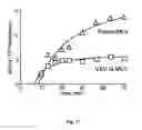 Fig. 09 - High-throughput assay for virus entry and drug screening