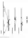 Fig. 05 - Recombinant RSV virus expression systems and vaccines