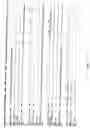 Fig. 11 - Starch branching enzyme