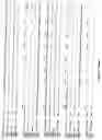 Fig. 13 - Starch branching enzyme