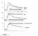 Fig. 04 - IFNAR2 mutants, their production and use