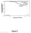 Fig. 09 - Methods to predict patient responsiveness to tyrosine kinase inhibitors