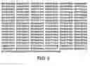 Fig. 04 - Isolated nucleic acid molecule encoding a novel centromere-associated motor protein, and uses therof