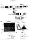 Fig. 02 - Regulated polymerase III expression systems and related methods