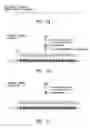 Fig. 02 - Modulation of gene expression using DNA-RNA hybrids