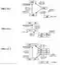 Fig. 372 - Susceptibility gene for human stroke: method of treatment