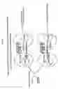Fig. 09 - Optimization of immunomodulatory properties of genetic vaccines