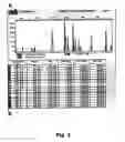 Fig. 04 - Methods for in vitro detection of cancers by highlighting allelic imbalances in insertion-deletion markers