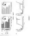 Fig. 03 - Compositions, kits and methods for identification and modulation of type I diabetes