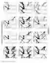Fig. 04 - Compositions, kits and methods for identification and modulation of type I diabetes